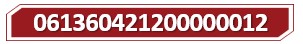 T 061360421200000012.jpg