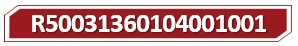 T R50031360104001001.jpg
