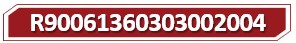 T R90061360303002004.jpg