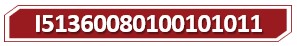 t I51360080100101011.jpg