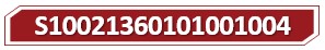 T S10021360101001004.jpg