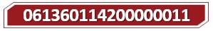 T 061360114200000011.jpg
