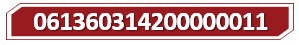 T 061360314200000011.jpg