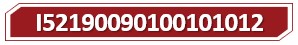 t I52190090100101012.jpg