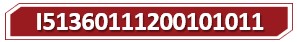 t I51360111200101011.jpg