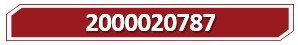 T 2000020787.jpg