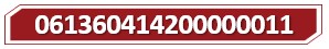 T 061360414200000011.jpg