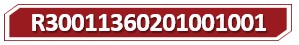 t R30011360201001001.jpg