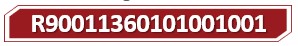 T R90011360101001001.jpg