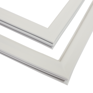 Gaxeta Magnetica.png