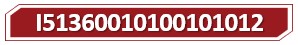 T I51360010100101012.jpg