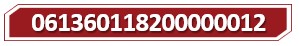 T 061360118200000012.jpg