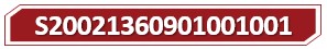 t S20021360901001001.jpg