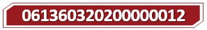 T 061360320200000012.jpg