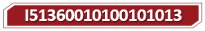 t I51360010100101013.jpg