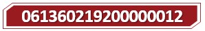 T 061360219200000012.jpg
