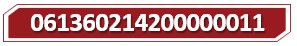 T 061360214200000011.jpg